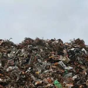 Food waste disposal
